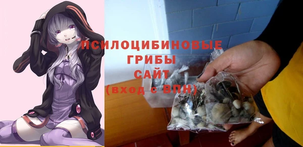 дмт Алексеевка
