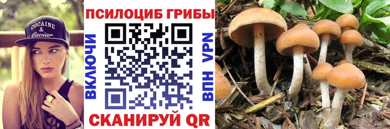 Псилоцибиновые грибы Magic Shrooms  как найти   Арсеньев 